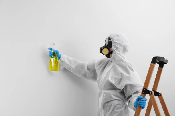 Best Commercial Mold Inspection  in Centerton, AR